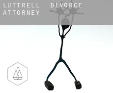 Luttrell  divorce attorney