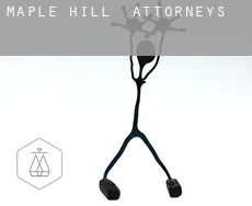 Maple Hill  attorneys