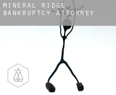 Mineral Ridge  bankruptcy attorney
