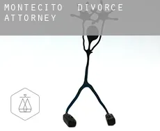 Montecito  divorce attorney