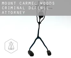 Mount Carmel Woods  criminal defense attorney