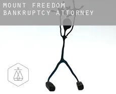 Mount Freedom  bankruptcy attorney