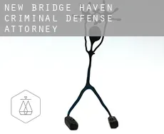 New Bridge Haven  criminal defense attorney