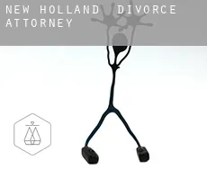 New Holland  divorce attorney