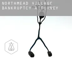 Northmead Village  bankruptcy attorney