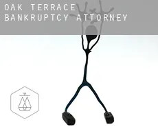 Oak Terrace  bankruptcy attorney