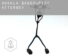 ‘Ō‘ōkala  bankruptcy attorney