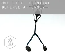 Owl City  criminal defense attorney