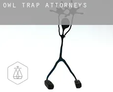 Owl Trap  attorneys