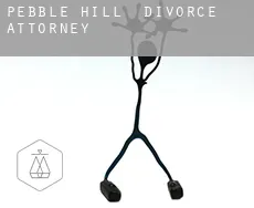Pebble Hill  divorce attorney