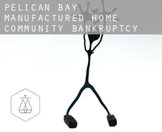 Pelican Bay Manufactured Home Community  bankruptcy attorney