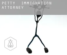 Petty  immigration attorney