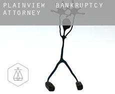 Plainview bankruptcy attorney