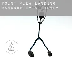 Point View Landing  bankruptcy attorney