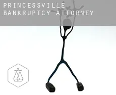 Princessville  bankruptcy attorney