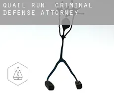 Quail Run  criminal defense attorney