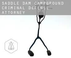 Saddle Dam Campground  criminal defense attorney