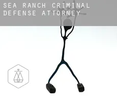 Sea Ranch  criminal defense attorney