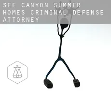 See Canyon Summer Homes  criminal defense attorney