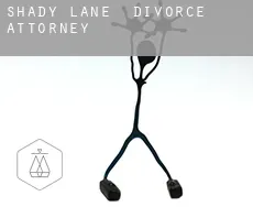 Shady Lane  divorce attorney