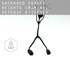 Sherwood Forest Heights  criminal defense attorney