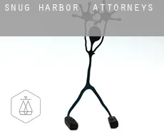 Snug Harbor  attorneys