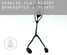 Spanish Flat Resort  bankruptcy attorney
