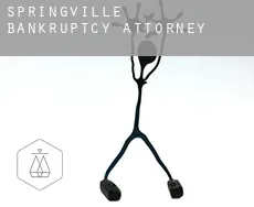 Springville  bankruptcy attorney