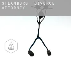 Steamburg  divorce attorney