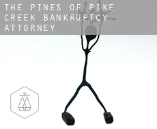 The Pines of Pike Creek  bankruptcy attorney