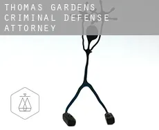 Thomas Gardens  criminal defense attorney