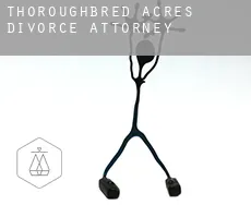 Thoroughbred Acres  divorce attorney