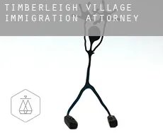 Timberleigh Village  immigration attorney