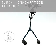Turin  immigration attorney