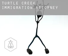 Turtle Creek  immigration attorney