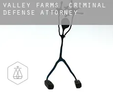 Valley Farms  criminal defense attorney