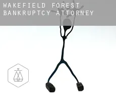 Wakefield Forest  bankruptcy attorney