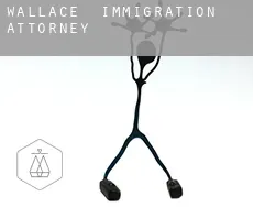 Wallace  immigration attorney