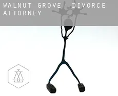 Walnut Grove  divorce attorney