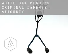 White Oak Meadows  criminal defense attorney
