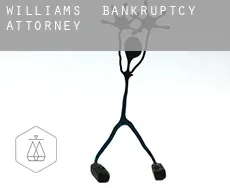 Williams  bankruptcy attorney