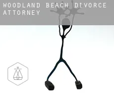 Woodland Beach  divorce attorney