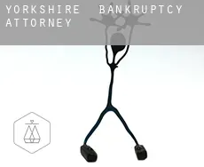 Yorkshire  bankruptcy attorney