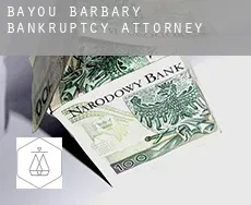 Bayou Barbary  bankruptcy attorney