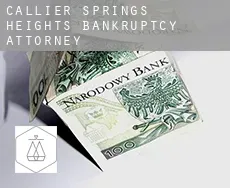 Callier Springs Heights  bankruptcy attorney