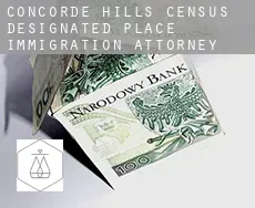 Concorde Hills  immigration attorney