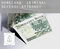 Homeland  criminal defense attorney