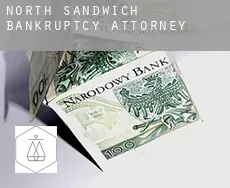 North Sandwich  bankruptcy attorney