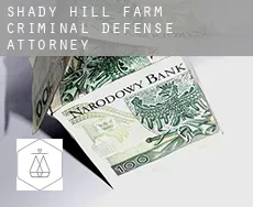 Shady Hill Farm  criminal defense attorney