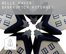 Belle Haven  bankruptcy attorney